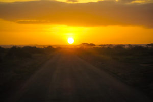 Kenya Sunrise